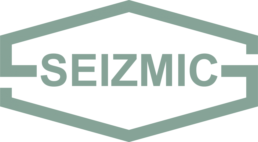 SeizmicMain