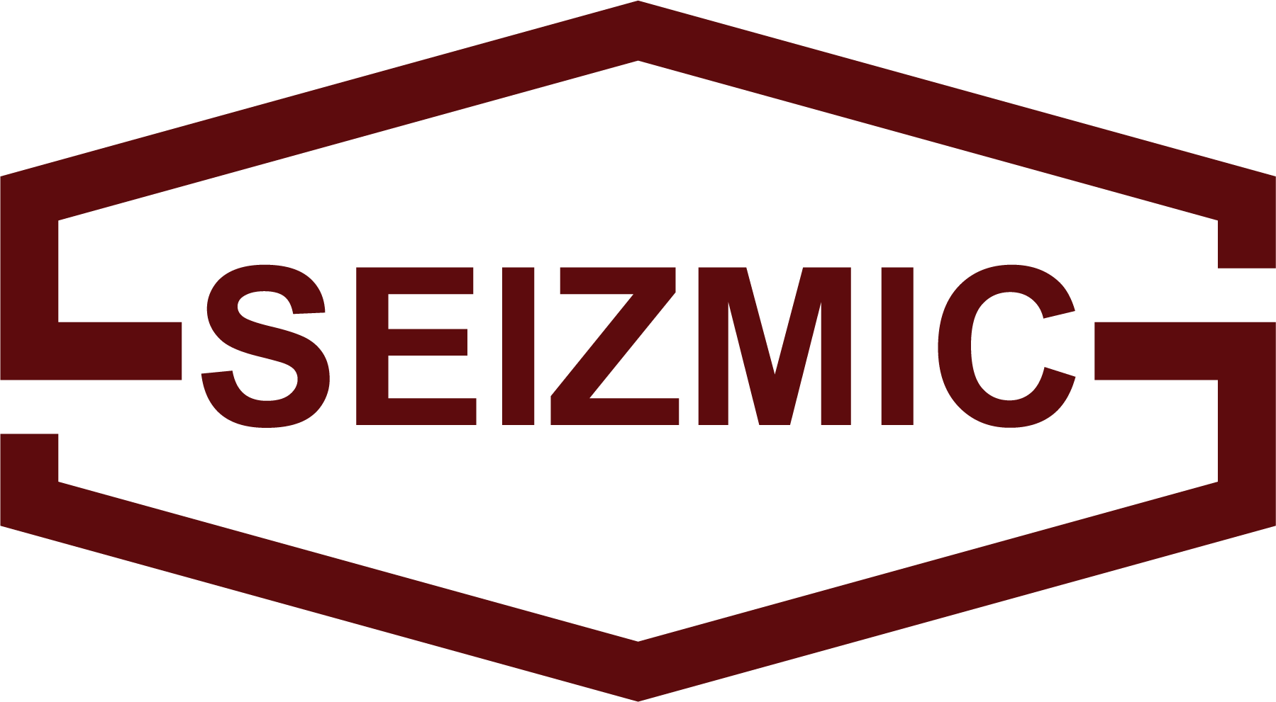 SeizmicLogo - Color