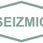 Seizmic Inc. Light Logo