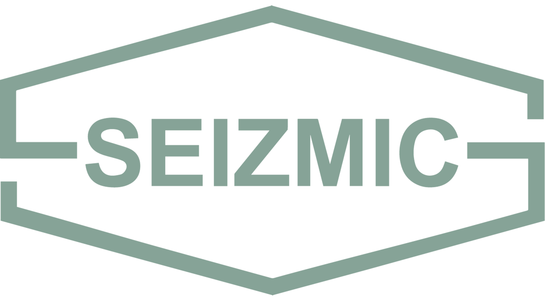 Seizmic Inc. Light Logo